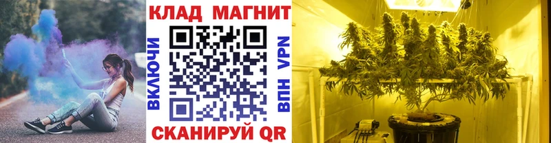 Виды наркоты Гусев Конопля 