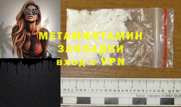 прущие грибы Богданович