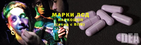 прущие грибы Богданович