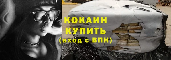 прущие грибы Богданович