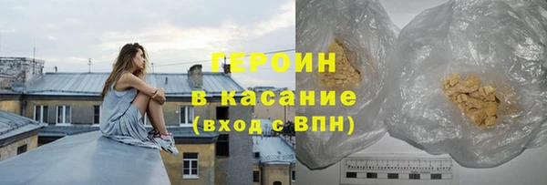 прущие грибы Богданович