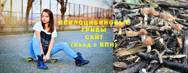 прущие грибы Богданович