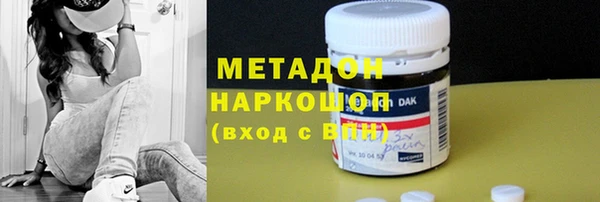прущие грибы Богданович