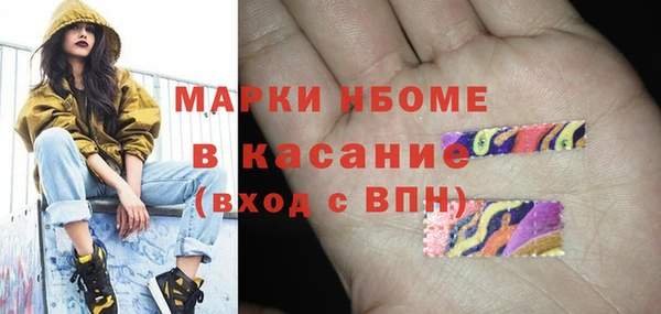 прущие грибы Богданович