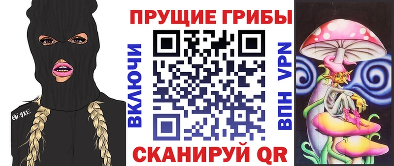 где купить наркоту  Гусев  Псилоцибиновые грибы GOLDEN TEACHER 